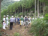 一ツ瀬川流域森林整備連絡会議（H26第2回会合　誘導伐跡地見学の様子）