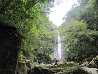 「日本の滝100選」の矢研の滝