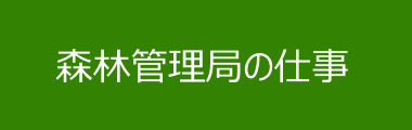 森林管理局の仕事