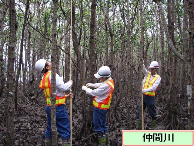写真：仲間川