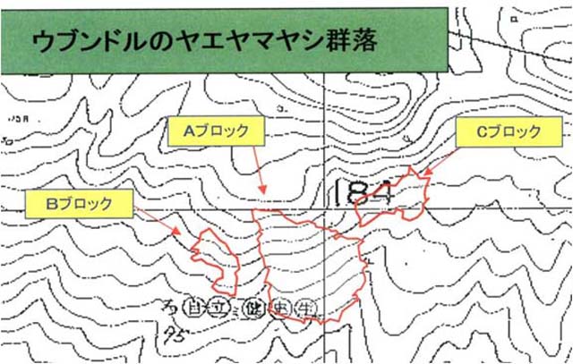 図：ヤエヤマヤシの位置