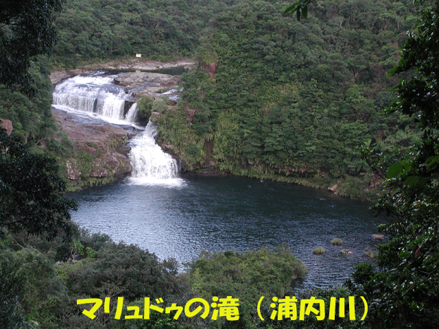 写真：マリュドゥの滝（浦内川）