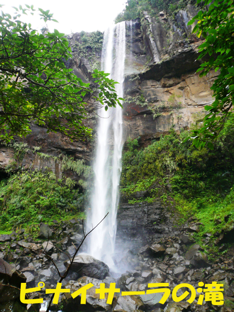 写真：ピナイサーラの滝（近景）