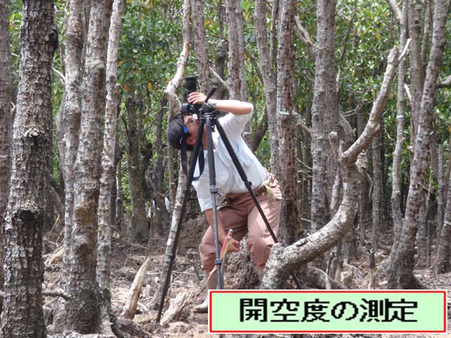 写真：開空度の測定