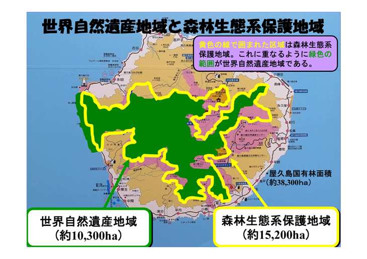 世界自然遺産地域と森林生態系保護地域