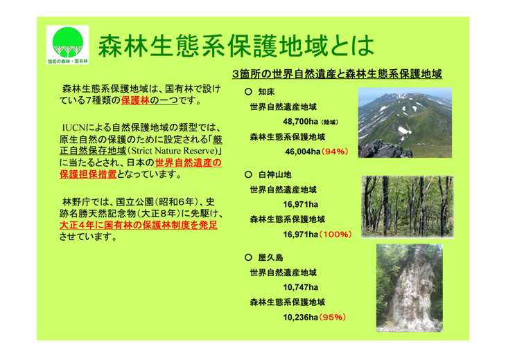 森林生態系保護地域とは