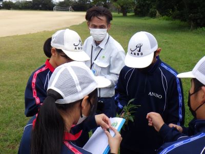 校庭で手作り図鑑を使い樹木調査