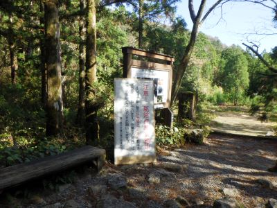 取組事例や情報提供の様子-1