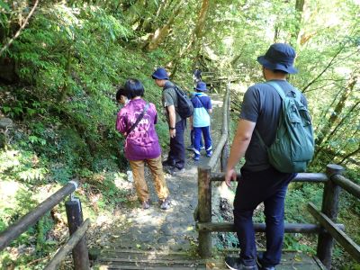 ミカンの匂いがする苔はどれ？