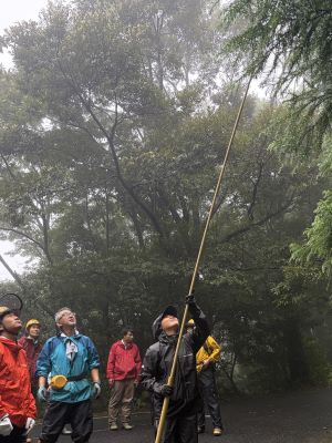 サンプル採取の実演