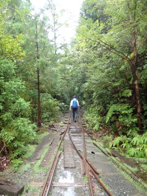 トロッコ道巡視の様子