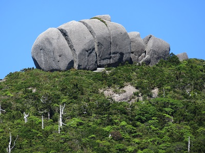 山_黒味岳1