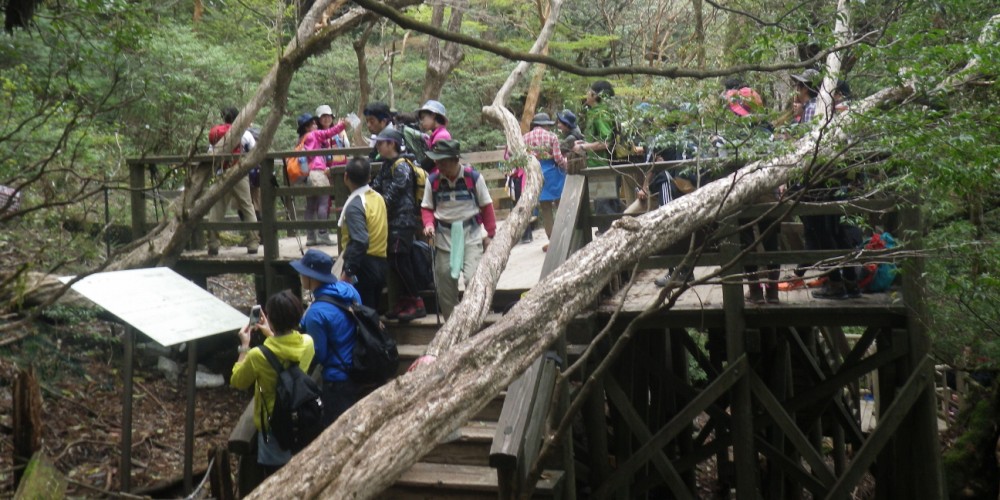 登山者で混雑する南デッキ