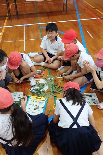 葉っぱの形や匂いの違いを学習