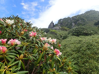 登山道よりローソク岩望む