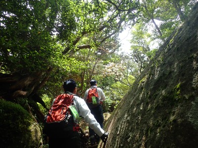 太忠岳パトロールの様子