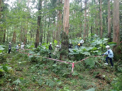 宮之浦嶽国有林内のプロットの様子