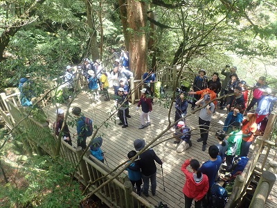 縄文杉展望デッキの登山客 