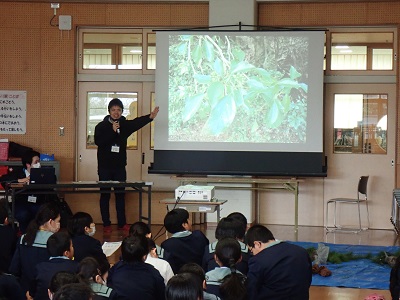 葉っぱの仕組についての説明