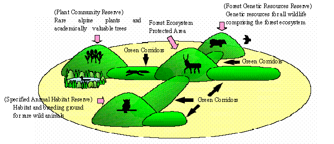 Image Diagram of the "Green Corridors"
