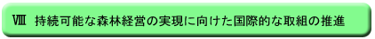 [@\ȐXьoc̎ɌۓIȎg̐i