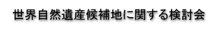 ���E���R��Y���n�Ɋւ��錟����