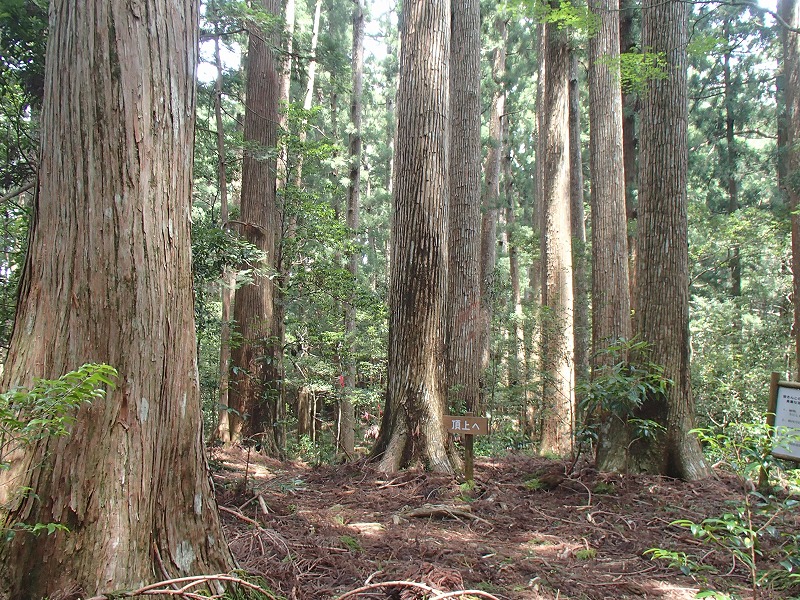 千本山