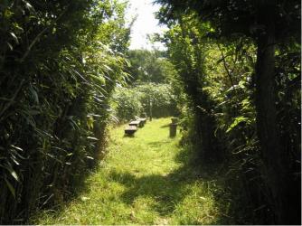 蛇谷山国有林野根山街道熊笹峠