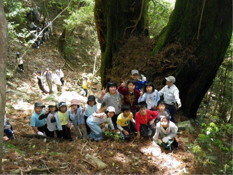 森林・林業の普及啓発活動