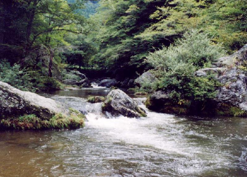 小田深山渓谷風景林