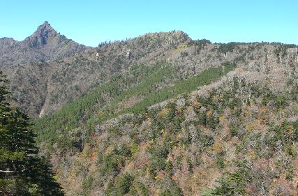 石鎚山系森林生態系保護地域（久万高原町）