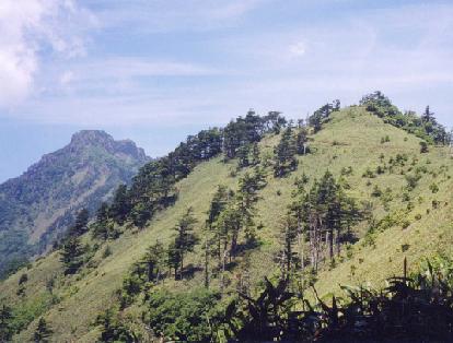 緑の回廊（石鎚山地区）