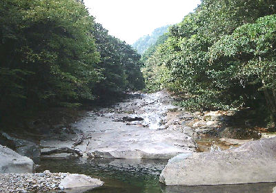 滑床自然休養林