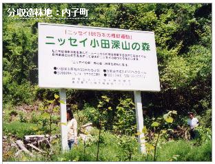分収造林地：内子町