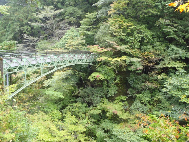 面河渓谷通天橋