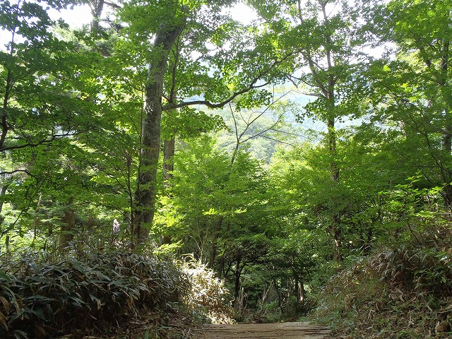 H29.8.18八丁坂から石鎚山を望む