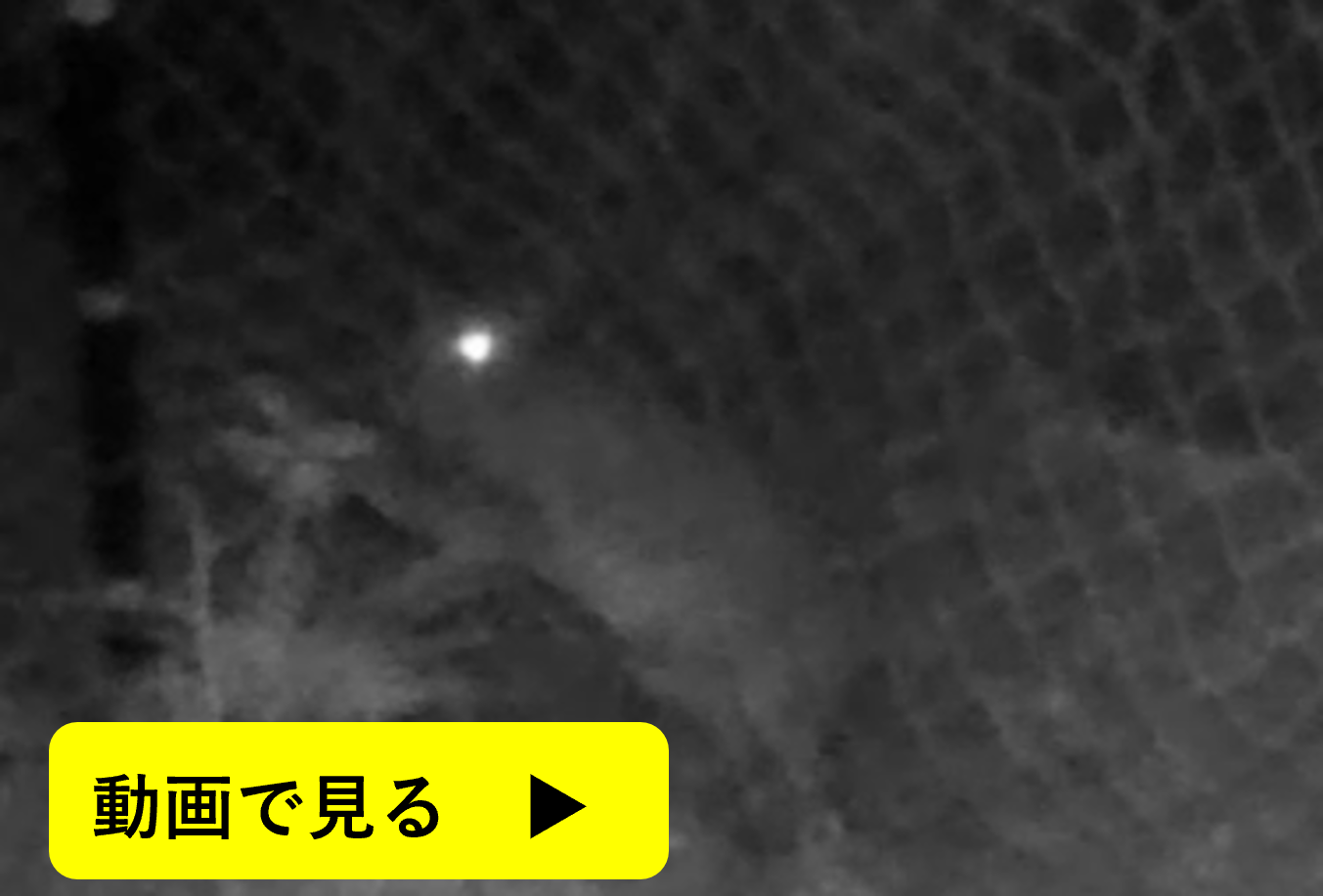 ネット際