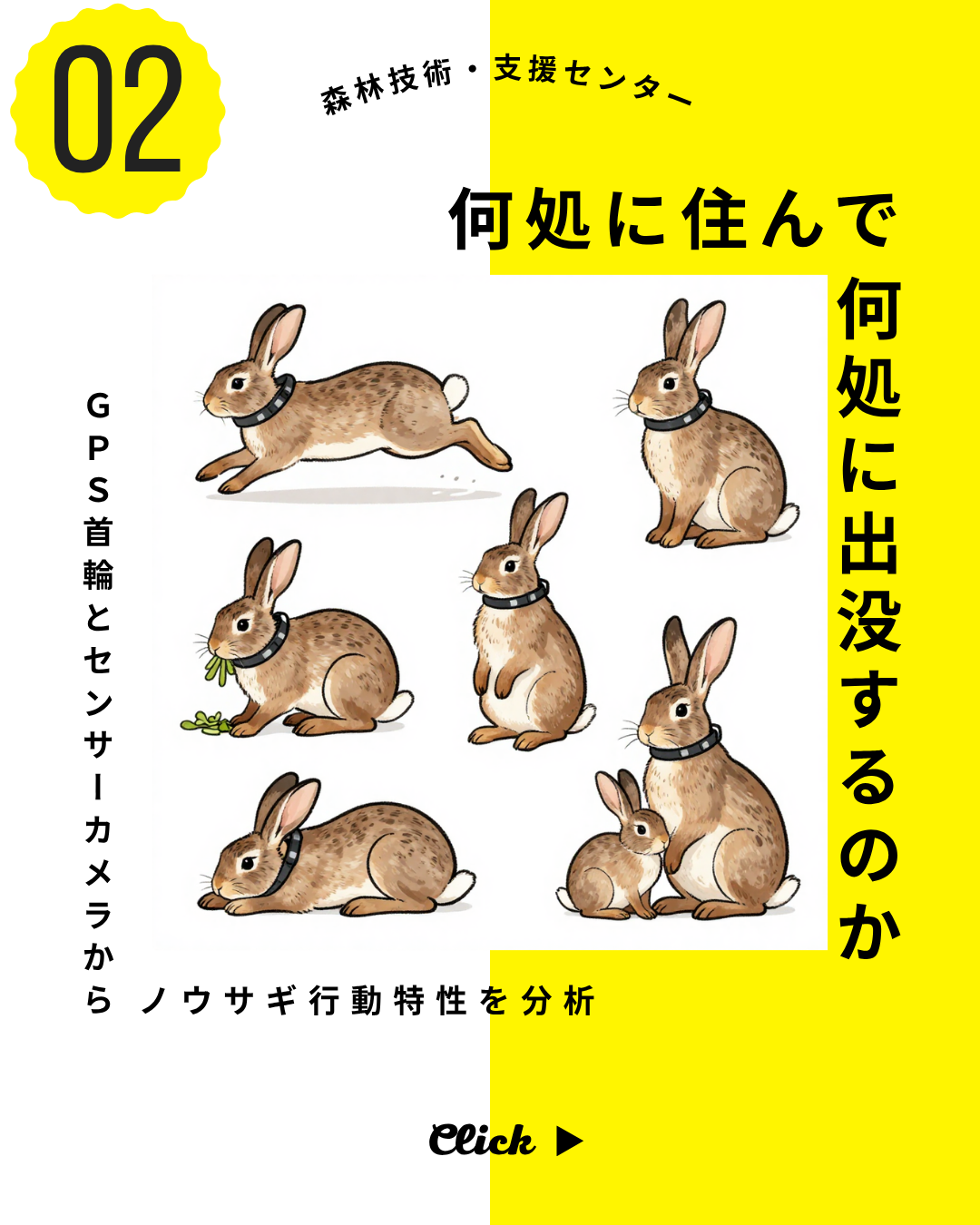 GPS首輪＆センサーカメラ分析