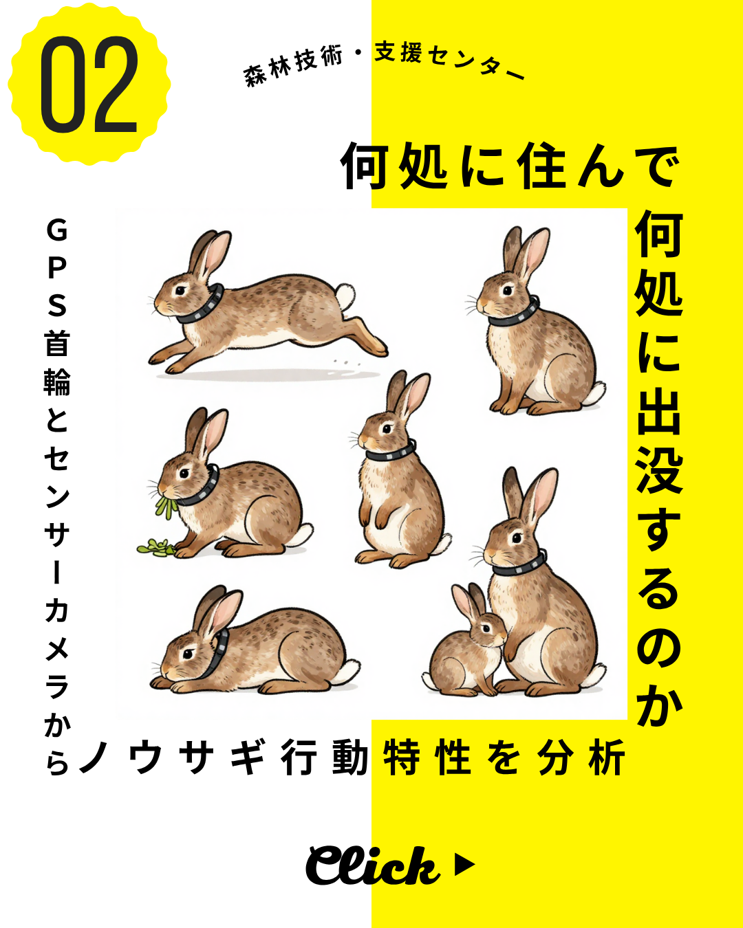 gps首輪