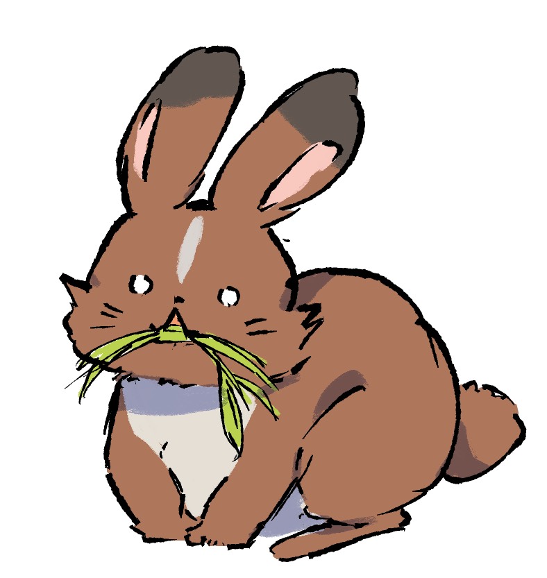 ノウサギ