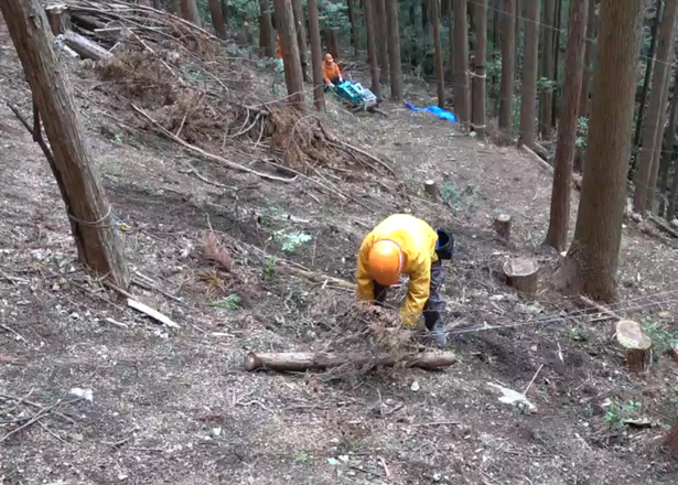 森林の中でミニ集材機操作の様子