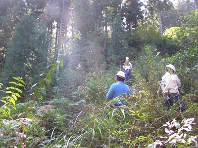 調査の様子（奥南川山国有林）