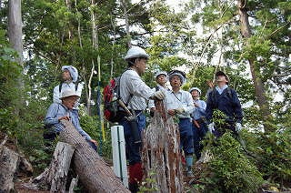 今後の照度管理のあり方等について検討