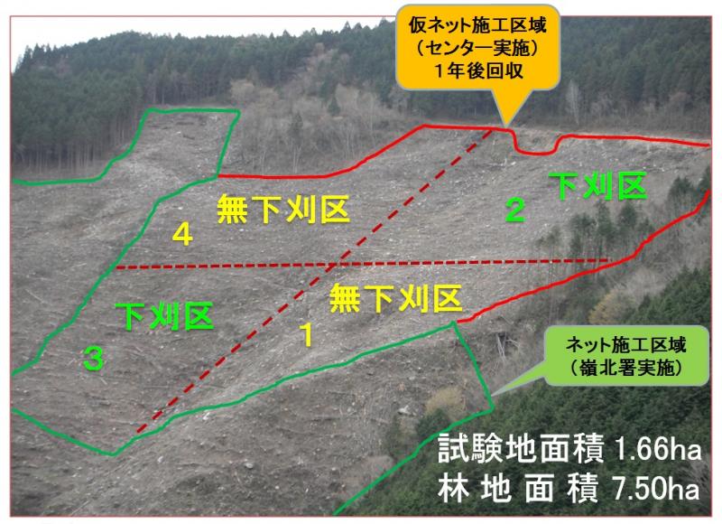 下刈り省略