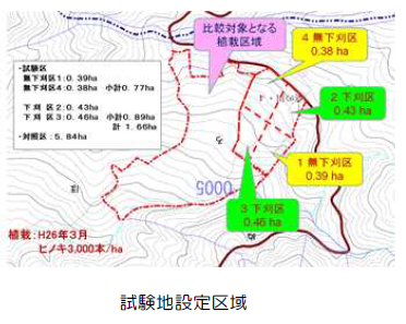 下刈省略化によるシカ食害低減効果の検証1