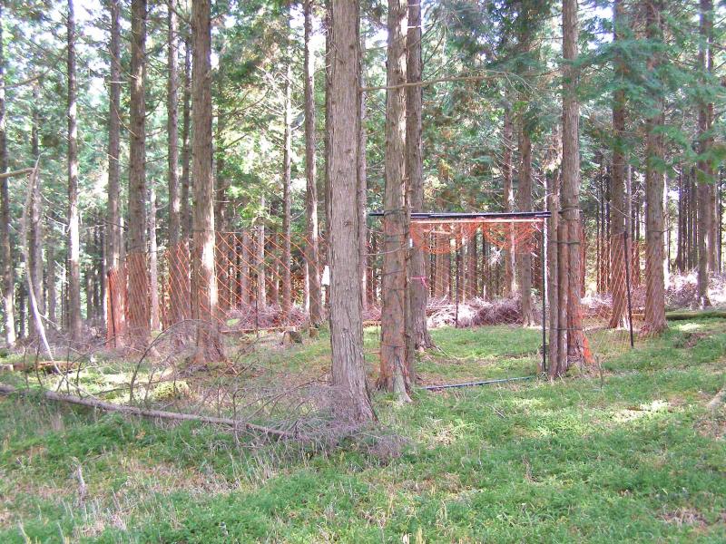 周辺の立ち木を利用した