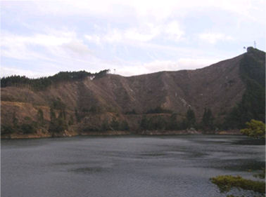 試験地全景。嶺北森林管理署立割不寒冬山(たてわりふかんとうやま)106林班