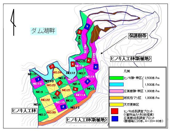 試験地を28のプロットに区分。ヒノキプロット13箇所にヘクタール2500本植栽。1箇所に1500本植栽。広葉樹プロット8か所にヘクタール1000本植栽。抵抗性マツプロット1箇所にヘクタール1000本植栽。天然更新プロットは5か所。