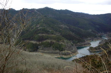 試験地全景