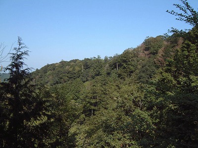 久保谷山風景林（遠景）